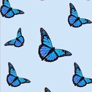 Meet your Posher, Kirsten